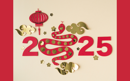 Red and gold numbers and snake image for 2025 year.