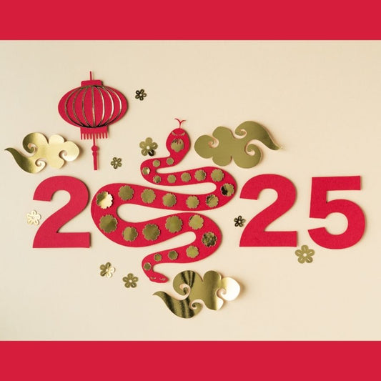 2025 numbers and a red snake.