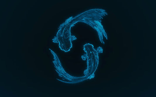 2 blue fishes on a black background.