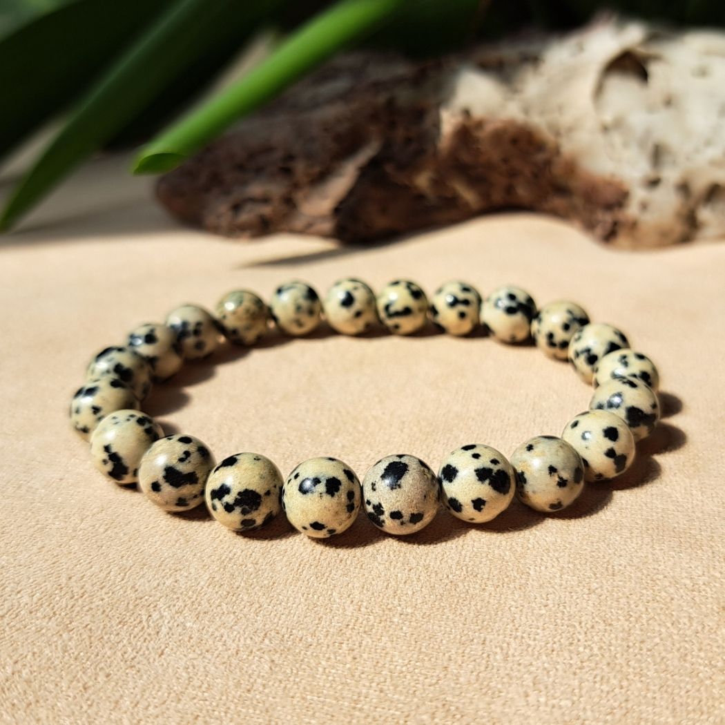 Dalmatian Jasper bracelet frontal view.