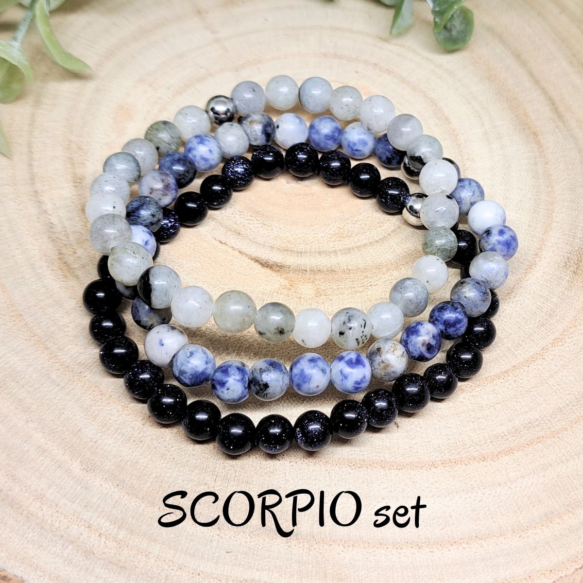 Ensemble de bracelets SCORPION